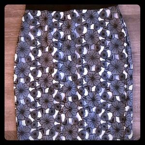 Gorgeous Ann Taylor pencil skirt; size 2